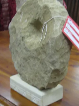Disc