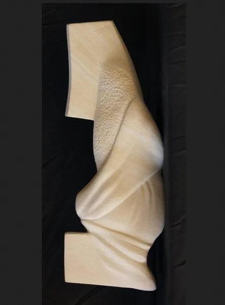 Reverse domestication